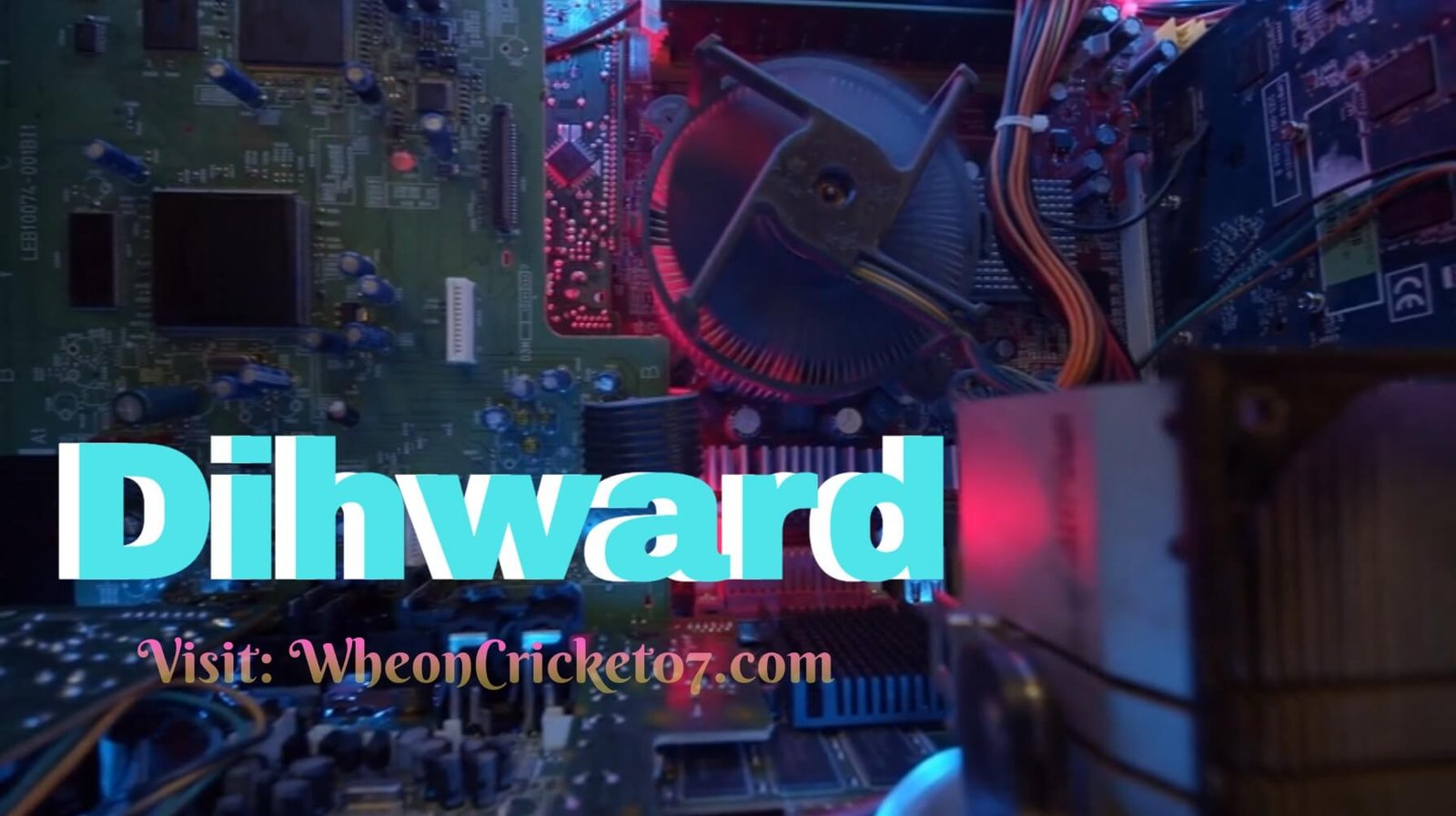Dihward: Real Features, Real Feedback, Real Verdict
