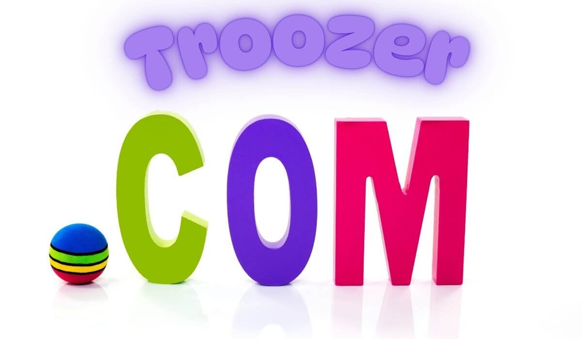 Understanding Troozer com